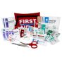 Mini First Aid Kit, Nylon, Red